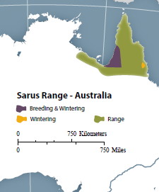 Sarus AU range map