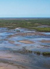 Salt pans Salt pans