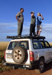 Survey in Gulf