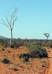 Windmill Windmill